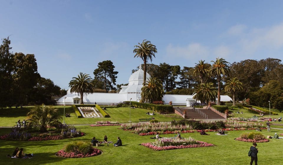 San Francisco’s Conservatory of Flowers officially reopened the West Gallery — and it’s free to visit for SF residents