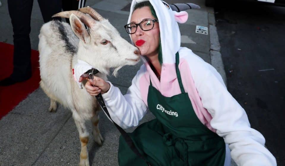 SF’s Goat Fashion Show Is The Place To Be This Valentine’s Day