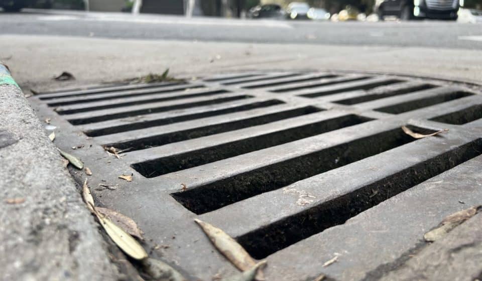 SF Residents Are Adopting And Naming Their Local Storm Drains