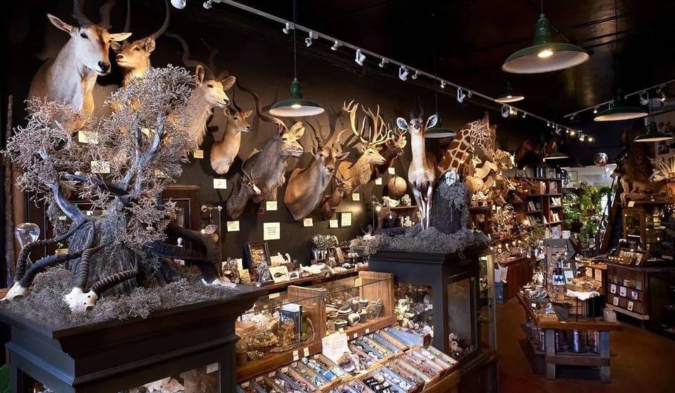 5 Extraordinary Metaphysical Shops For San Francisco Witches