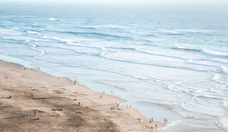 Join A Frosty Polar Plunge At Ocean Beach As Part Of A Beloved New Year’s Day Tradition