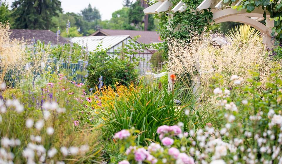 This 118-Year-Old Garden Near San Francisco Is Completely Free To Visit — With 2.5 Acres Of Historic Charm &amp; A Wisteria Garden