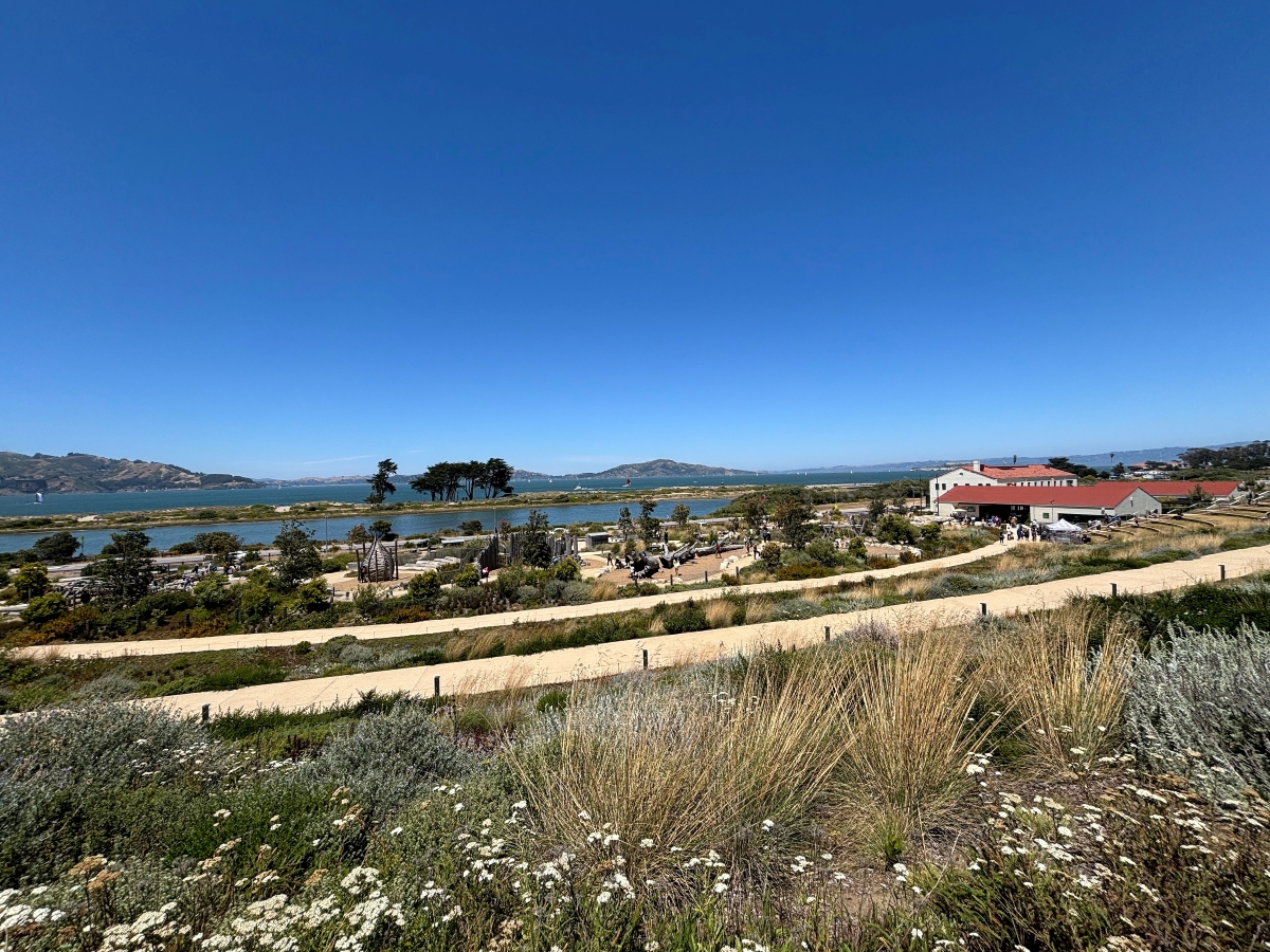 view of presidio tunnel tops in SF