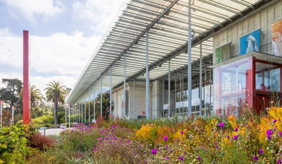 Hay alguna tienda abierta el día de Navidad en San Francisco? Compruebe los horarios de tiendas de comestibles, museos, Walgreens, Costco, CVS y más