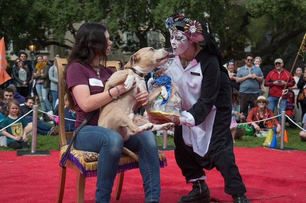 dogfest in SF