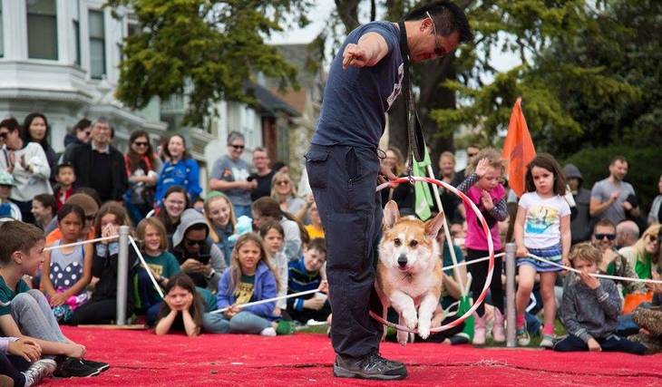 A Massive Festival Dedicated Entirely To Dogs Is Taking Over Duboce Park This Saturday — Here’s What To Know About DogFest In San Francisco