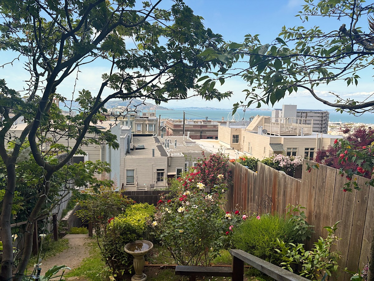 This Secret Garden In SF Has Beautiful Bay Views - Secret San Francisco