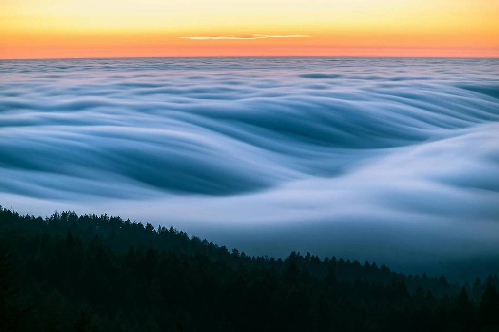 Rolling fog in Marin, CA