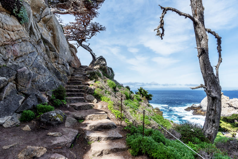 Pathway at Point Lobos State Natural Reserve, CA.
