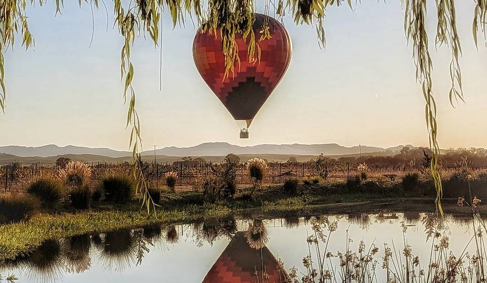 Los coloridos globos aerostáticos sobrevolarán la región vinícola este fin de semana en una tradición de Sonoma