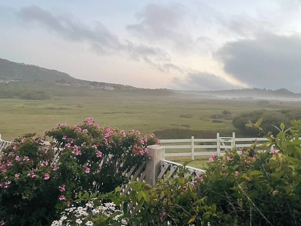 mission ranch, a view of the grounds