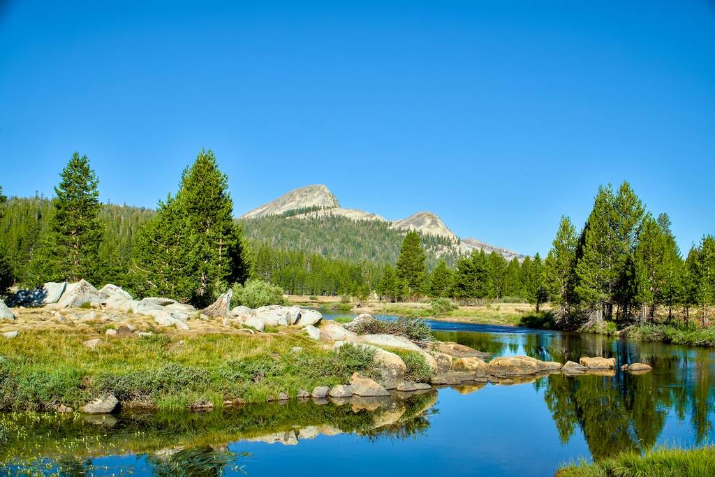 a meadow with a river and mountains in the back in Yosemite