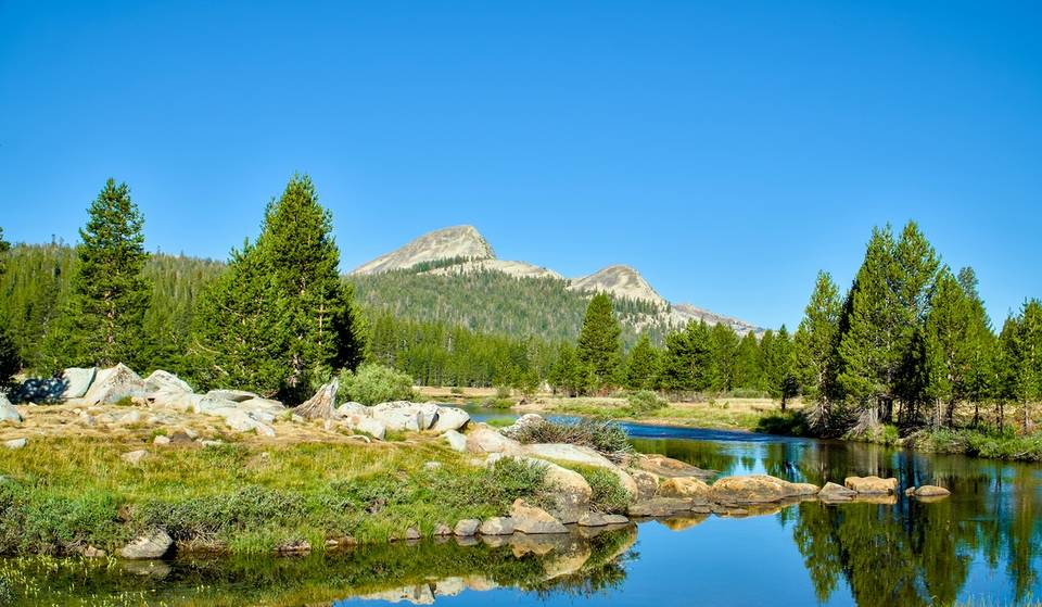 An Alpine Meadow Campground In Yosemite Recently Reopened After A Multi-Million-Dollar Renovation