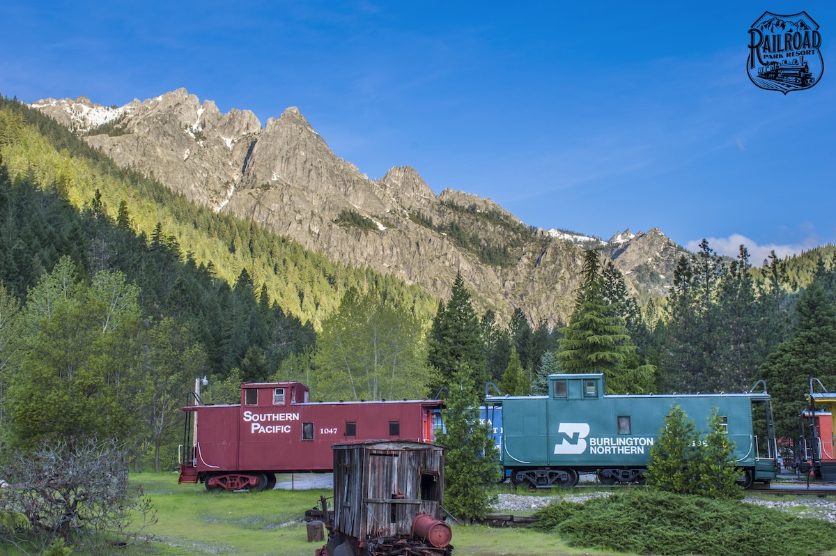 train cars in a meadow