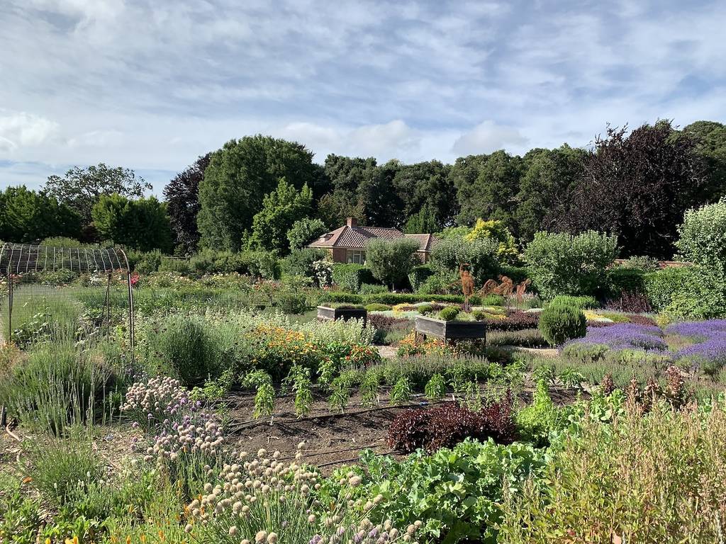 un gran jardín desde la distancia