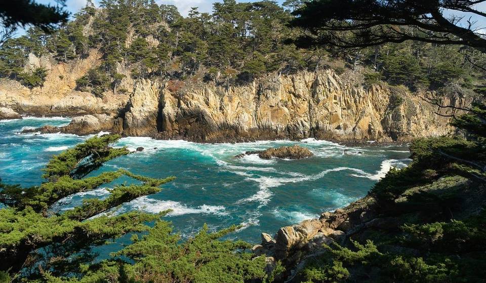 This Coastal Reserve Near SF Was One Of The Country&#8217;s Most Popular Parks This Summer — Known As The &#8216;Crown Jewel&#8217; Of CA State Parks