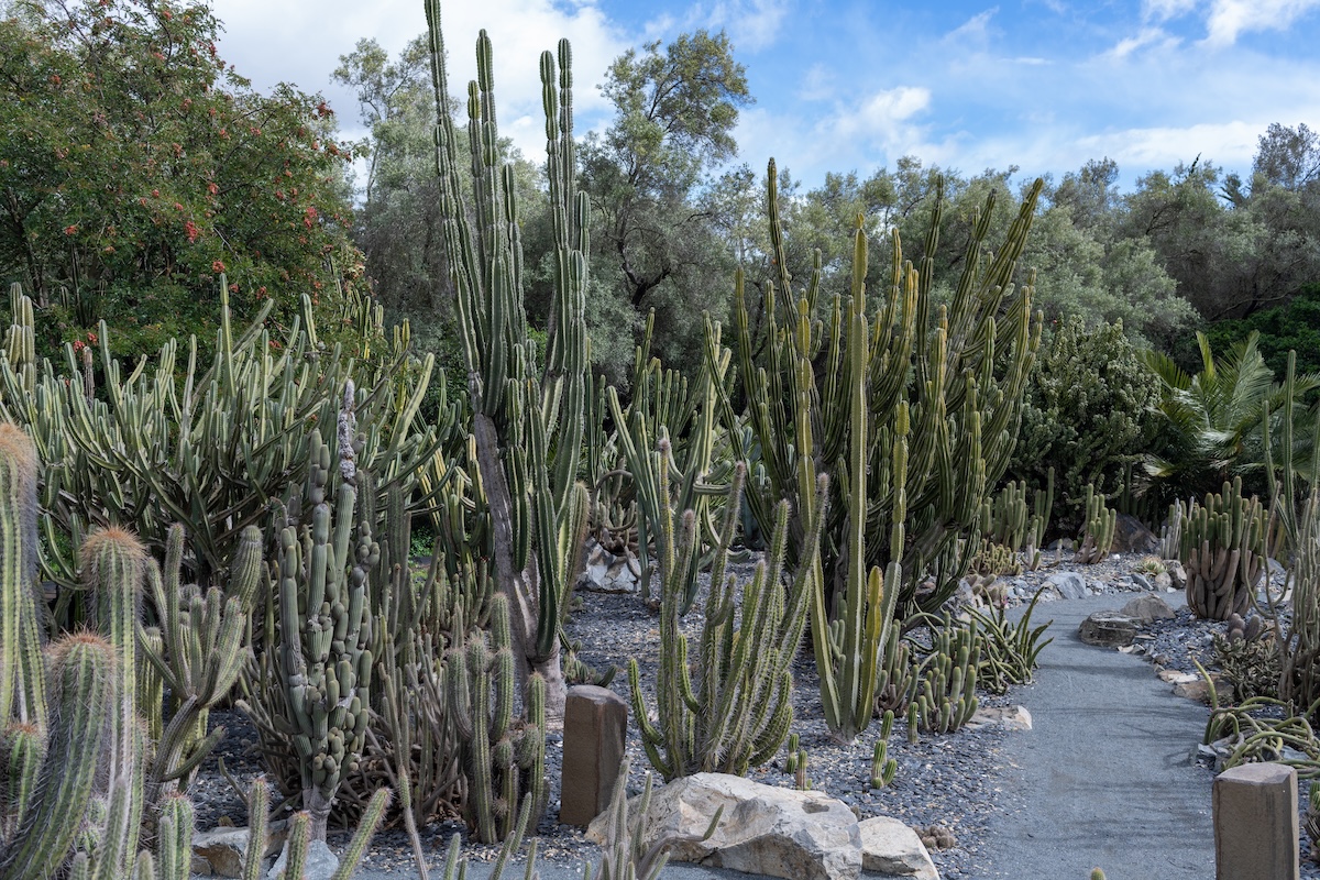Ganna Walska Lotusland in the city of Montecito, CA.