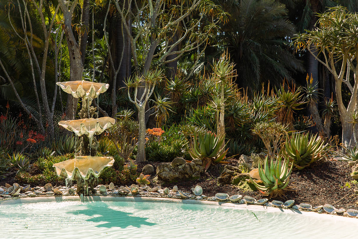 a garden near a pool at Lotusland in California