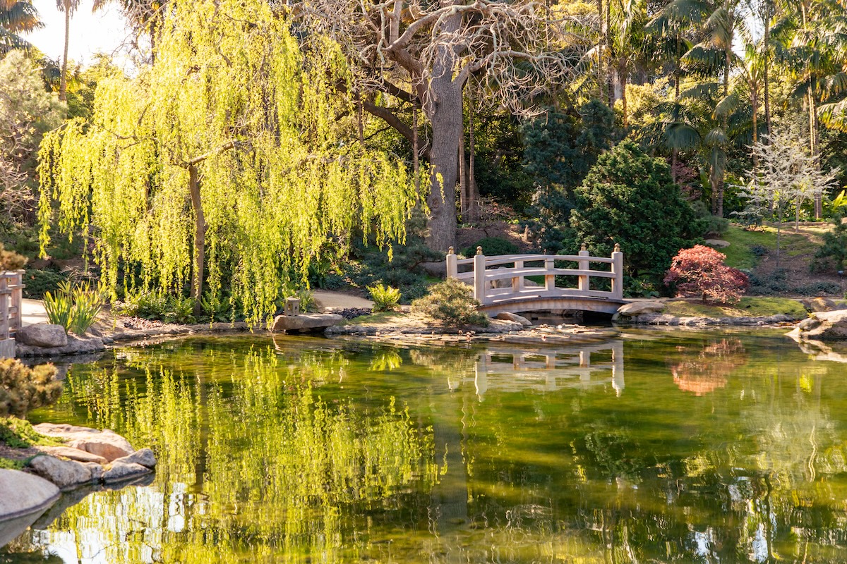 A Japanese garden at Lotusland California