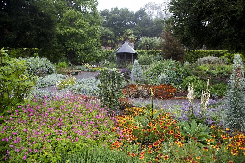 A blooming, colorful garden at Lotusland