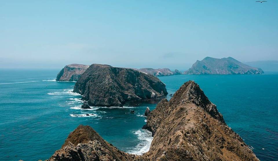 The ‘Galápagos Of North America’ — CA’s Least-Visited National Park Has 150+ Endemic Species And 13,000 Years Of Human History