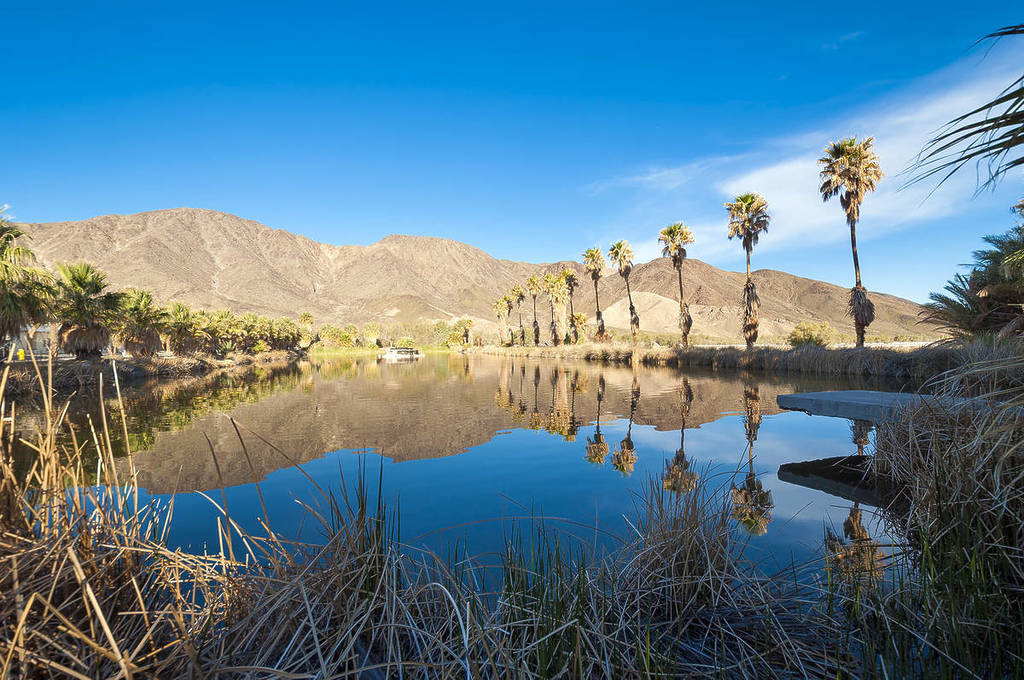 歙州 Zzyzx, CA Was Once A Fraudulent Health Spa — Here's The Story