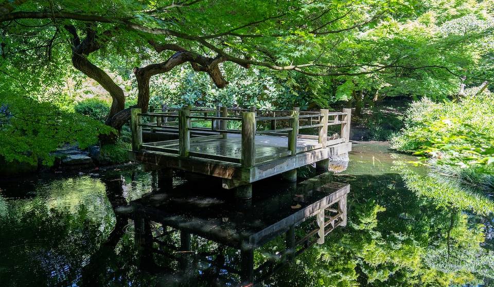 An Interactive Light Display With Over A Million Lights Is Coming To The SF Botanical Garden This Winter