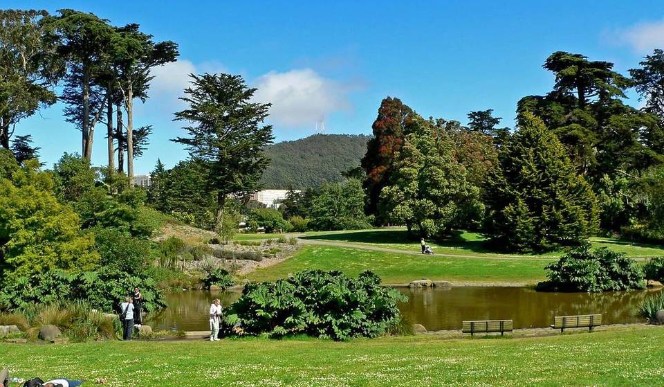 One Of The Country&#8217;s Most Diverse Botanical Gardens Covers 55 Acres In The Heart Of SF — Known For Its Significant Magnolia Collection