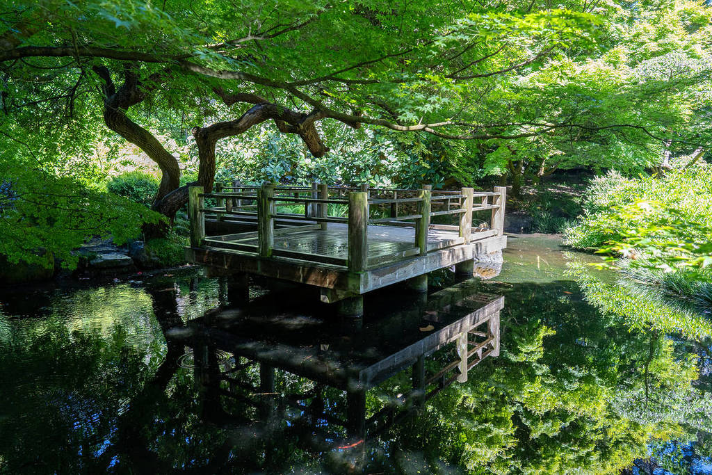 SF Botanical Garden moon viewing garden
