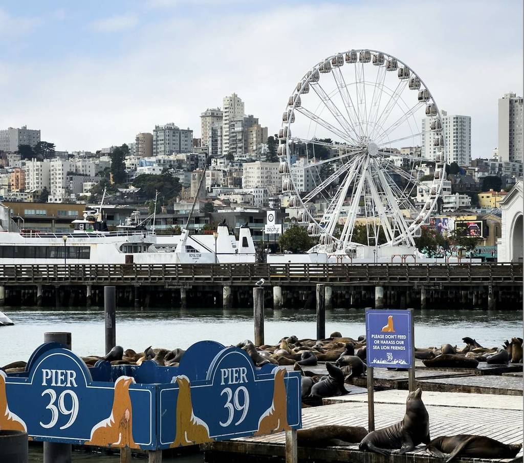 Pier 39 in San Frasncisco