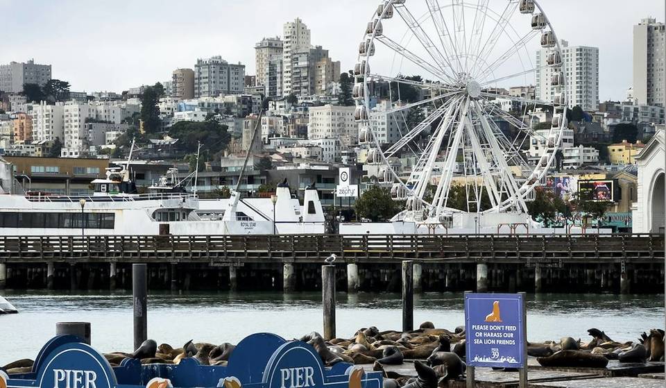 PIER 39&#8217;s New Entertainment Zone Will Host Its First Party This Weekend
