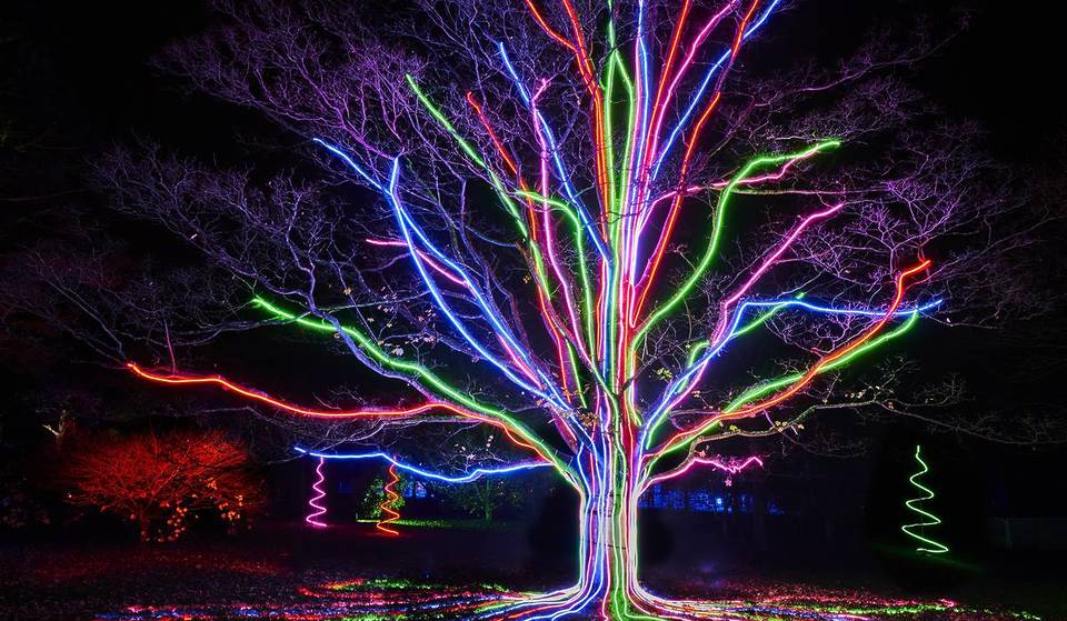 The San Francisco Botanical Garden Will Be Transformed With Over A Million Lights This Winter — Here&#8217;s How To Get Tickets