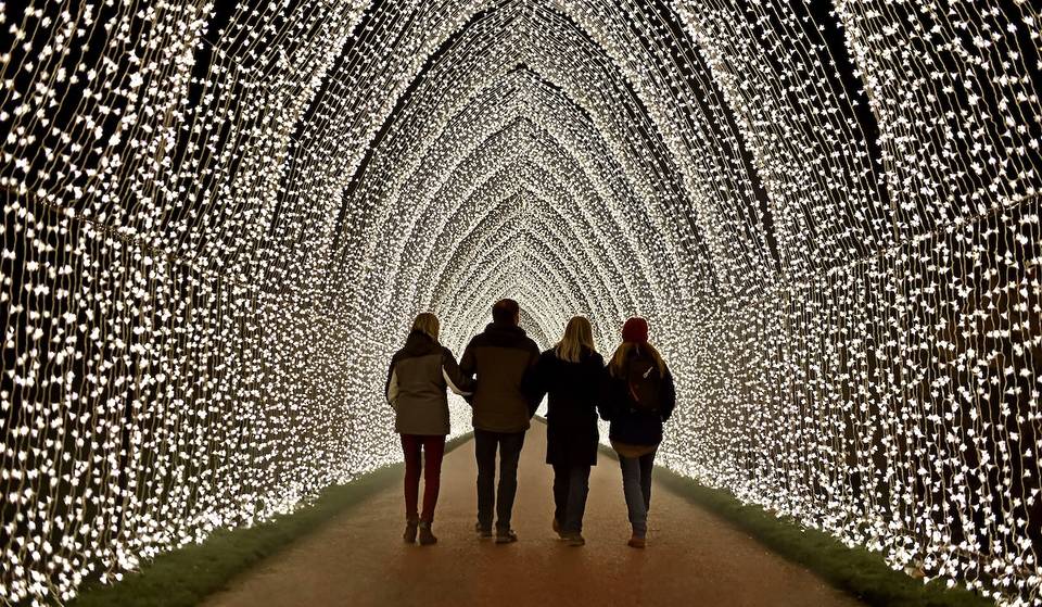 The Botanical Garden’s Holiday Light Show Has Added Extra Dates Due To Popular Demand
