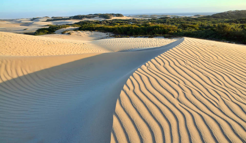 The World’s Largest Intact Coastal Sand Dunes Are Just Hours From SF — And They Once Buried A Piece Of Hollywood History For Decades