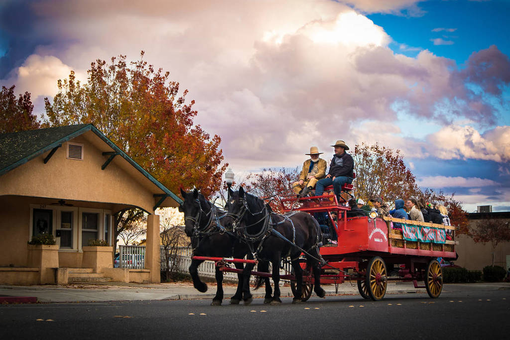 Two people drive a horse drawn carriage in Oakdale, CA
