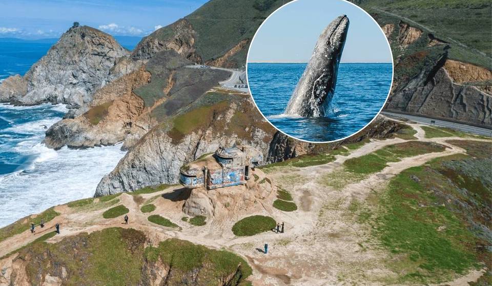 The Decommissioned Highway Turned Hiking Trail Where You Can See Gray Whales 100 Feet Offshore — It’s Only 30 Minutes From SF