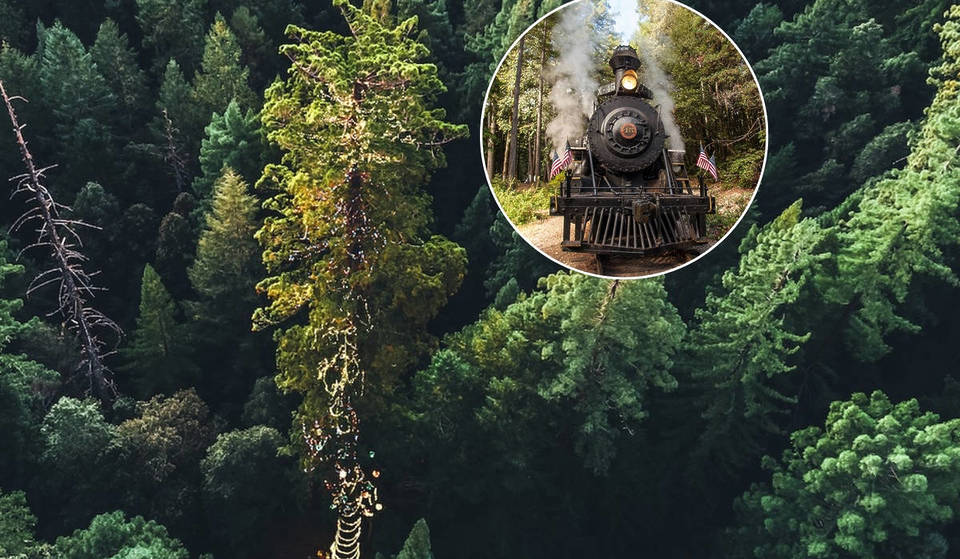 This Historic Railroad Passes By The World’s Largest Living Christmas Tree — And It’s Just 3 Hours From San Francisco