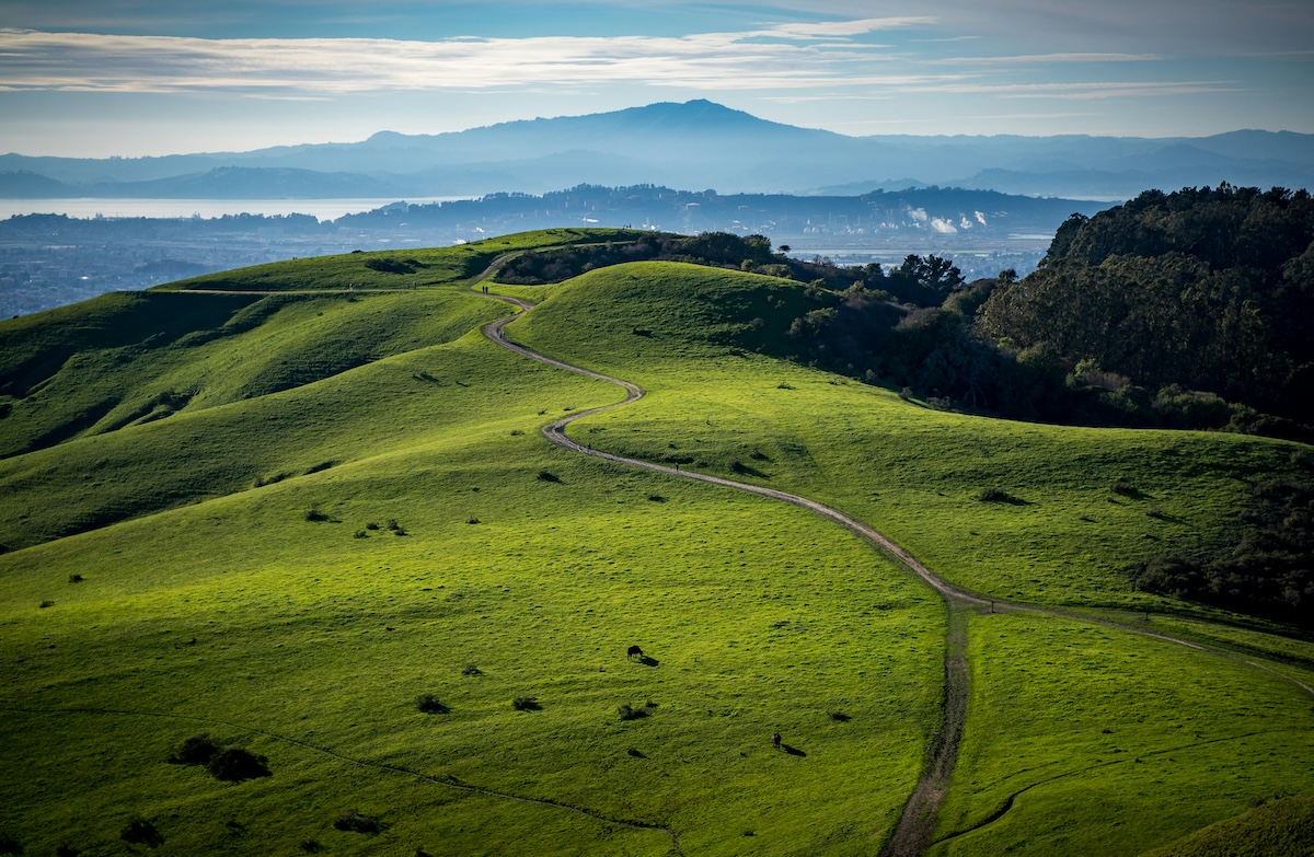 California Is Officially Drought-Free For The First Time In 25 Years