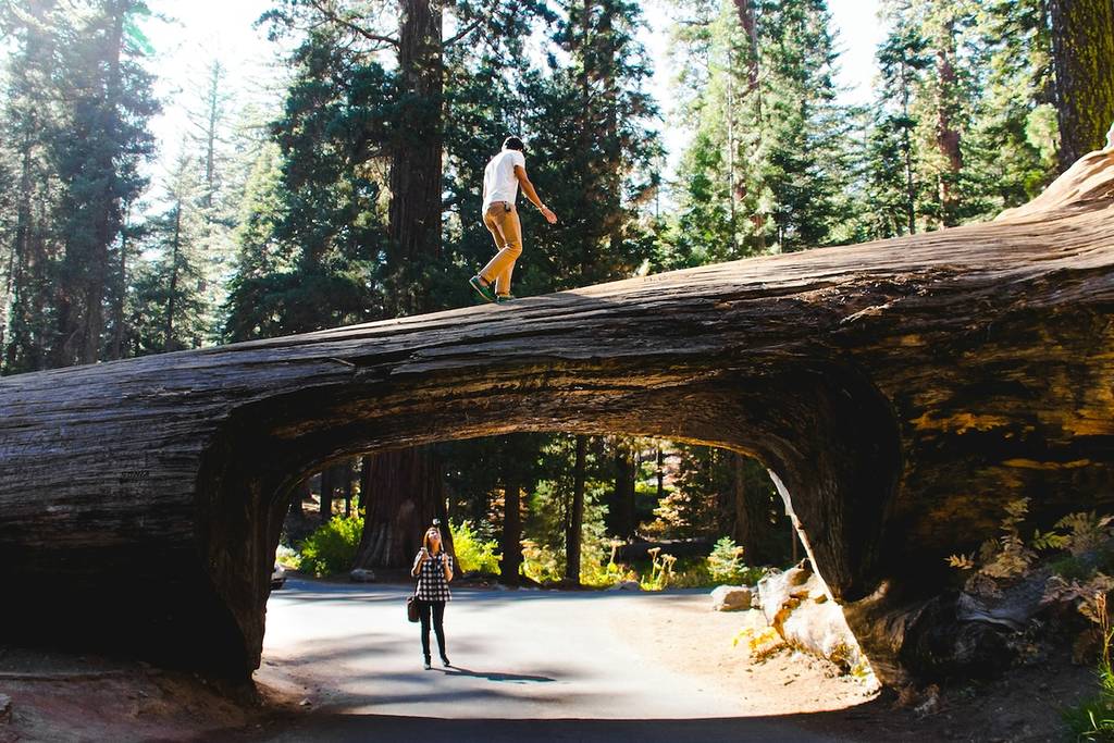 Tunnel log