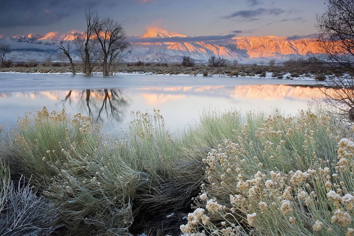 Bishop California lake