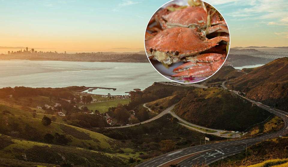 Sausalito Is Hosting A Crab Festival With Fresh Crab, Music, And Bay Cruises
