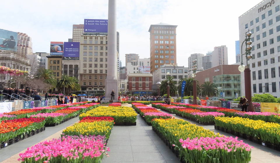 San Francisco’s Pop-Up Tulip Garden Returns To Union Square This Weekend With 80,000 Free Flowers