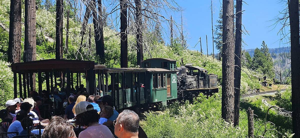 Este tren de vapor centenario que atraviesa el Bosque Nacional de Sierra reabre sus puertas este mes de abril. – Secret San Francisco