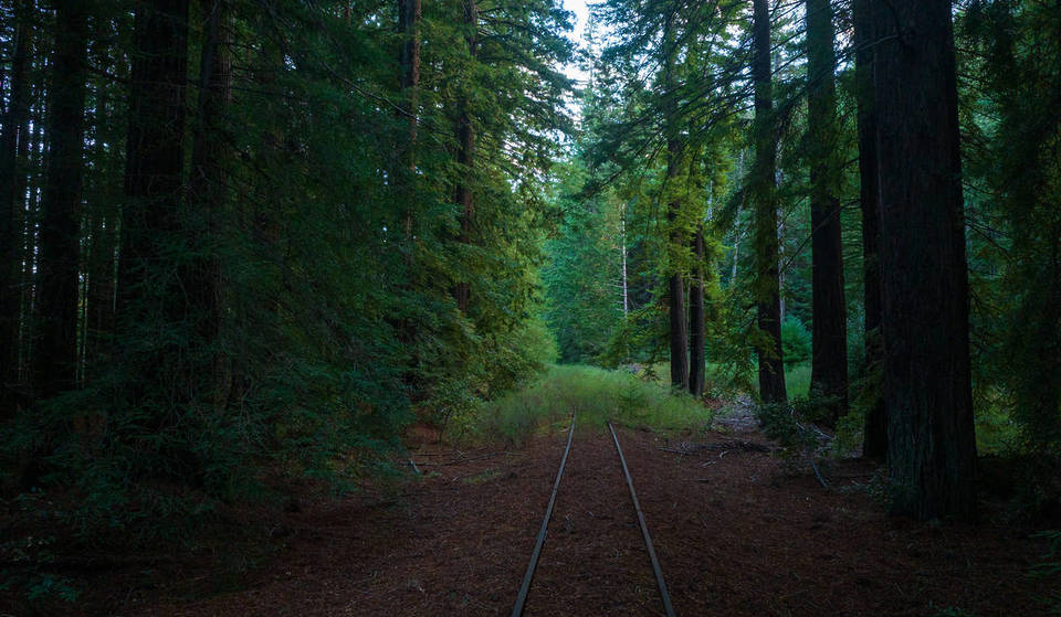 California Is Transforming An Abandoned Railroad Into A 300-Mile Trail From SF To Humboldt — Passing Through Wine Country, Mountains, &amp; Ancient Redwood Forests