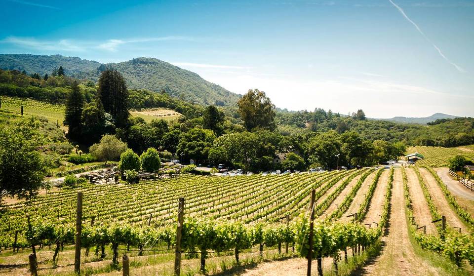 A menos de dos horas de San Francisco, esta joya escondida del bienestar ofrece piscinas geotérmicas secretas y un spa de 3700 metros cuadrados alimentado por manantiales naturales.