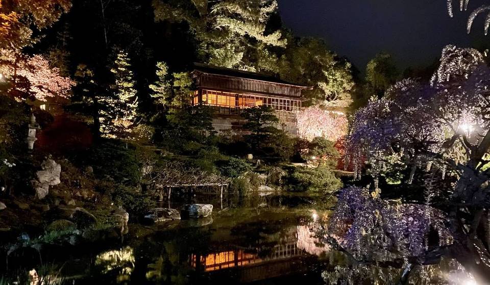 A menos de una hora de San Francisco, uno de los jardines japoneses más antiguos del hemisferio occidental ilumina sus 45 cerezos para una mágica visita nocturna