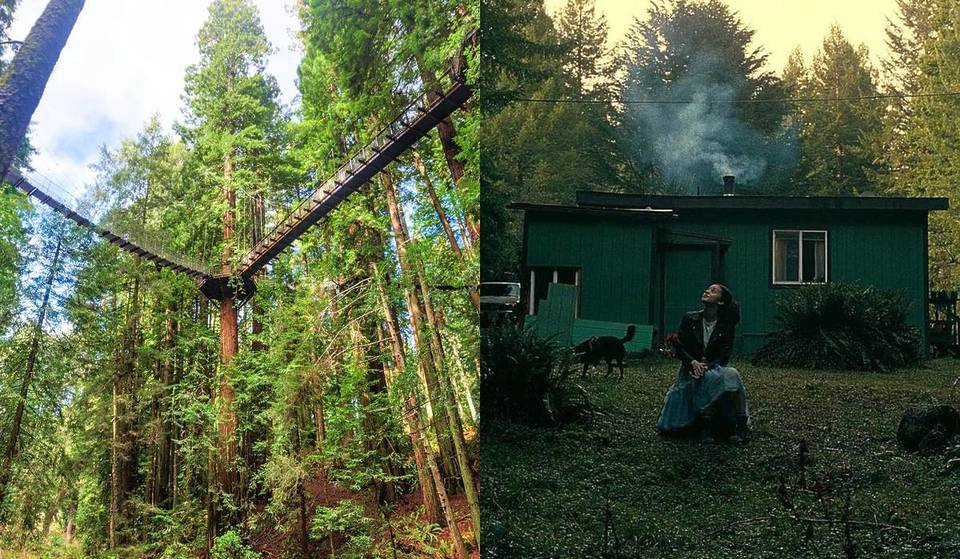This Historic NorCal Town Served As A Backdrop For ‘One Battle After Another’ — Known For Its Epic 100-Foot-High Pathway Through The Redwoods