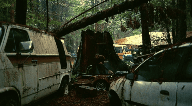 'One Battle After Another'still in redwood forest.