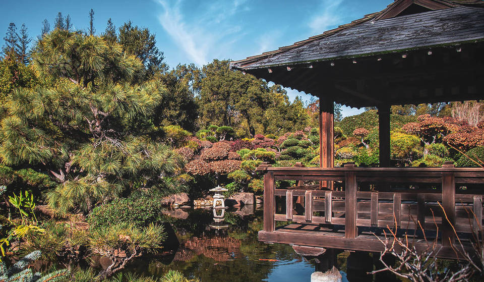 30 Minutes From SF, Hidden In A Residential Neighborhood, Lies One Of The Bay Area’s Only Free Japanese Gardens