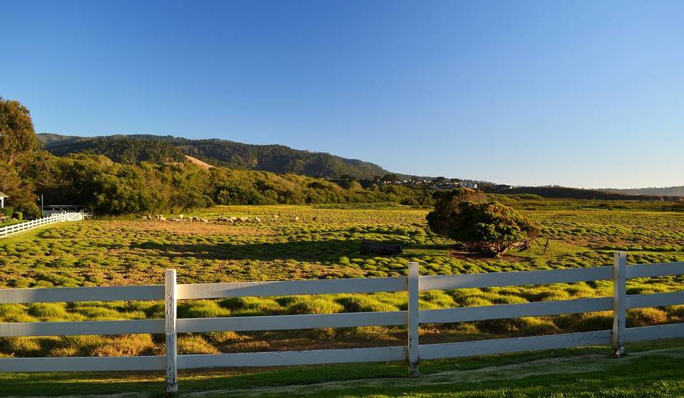 This Historic 22-Acre Ranch Is Just 5 Minutes From Carmel — With Roaming Sheep, Ocean Views, and A Famous Hollywood Owner